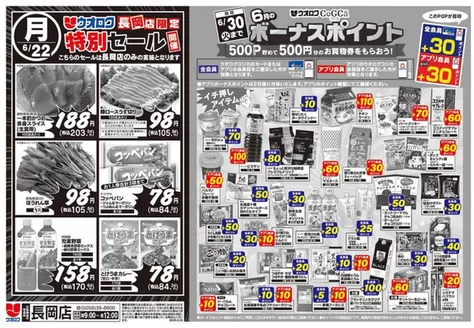 ウオロクのカタログ | トップディールと割引 | 2026-06-22T00:00:00.000Z - 2026-06-30T00:00:00.000Z