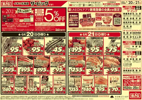多摩市でのザ・ビッグのカタログ | ザ・ビッグ チラシ | 2026-06-19T00:00:00.000Z - 2026-06-23T00:00:00.000Z