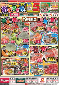 ビッグハウスのカタログ | すべての掘り出し物ハンターのためのトップオファー | 2026-06-20T00:00:00.000Z - 2026-06-21T00:00:00.000Z