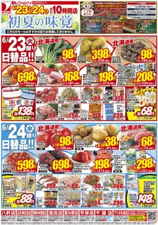ダイイチのカタログ | 豊富なオファーの選択 | 2026-06-23T00:00:00.000Z - 2026-06-24T00:00:00.000Z