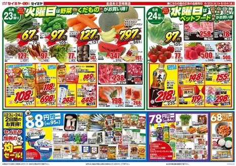 セイミヤのカタログ | 魅力的なオファーを発見する | 2026-06-23T00:00:00.000Z - 2026-06-24T00:00:00.000Z