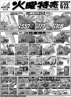 富士吉田市でのアピタのカタログ | 私たちのお客様のための排他的な取引 | 2026-06-22T00:00:00.000Z - 2026-06-23T00:00:00.000Z