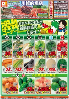 ダイレックスのカタログ | ダイレックス チラシ | 2026-06-23T00:00:00.000Z - 2026-06-28T00:00:00.000Z