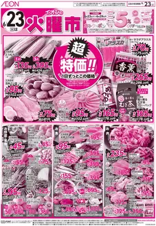 イオンのカタログ | イオン チラシ | 2026-06-22T00:00:00.000Z - 2026-06-23T00:00:00.000Z