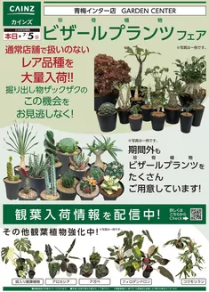 三浦市でのカインズホームのカタログ | ビザールプランツ | 2026-06-26T00:00:00.000Z - 2026-07-05T00:00:00.000Z