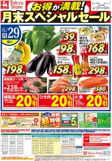 フレルさぎ沼のカタログ | 2026/6/29 | 2026-06-28T00:00:00.000Z - 2026-06-30T00:00:00.000Z