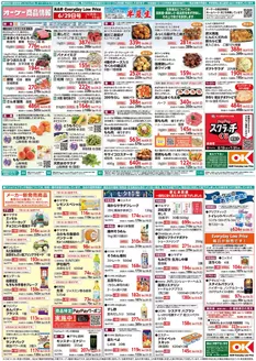 千葉市でのオーケーストアのカタログ | オーケーストア チラシ | 2026-06-29T00:00:00.000Z - 2026-07-05T00:00:00.000Z