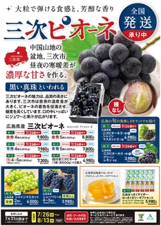 ユアーズ・丸和のカタログ | 割引とプロモーション | 2026-06-29T00:00:00.000Z - 2026-07-31T00:00:00.000Z