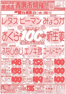 鮮ど市場のカタログ | 鮮ど市場 チラシ | 2026-07-08T00:00:00.000Z - 2026-07-08T00:00:00.000Z