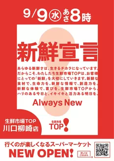マミーマートのカタログ | 選ばれた製品の素晴らしい割引 | 2026-07-08T00:00:00.000Z - 2026-09-08T00:00:00.000Z