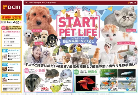 大和郡山市でのDCMのカタログ | 掘り出し物ハンターのためのオファー | 2026-07-03T00:00:00.000Z - 2026-07-20T00:00:00.000Z