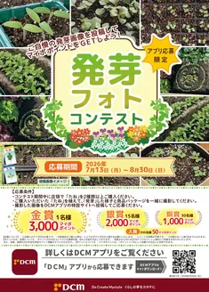 神埼市でのDCMのカタログ | 現在の掘り出し物とオファー | 2026-07-13T00:00:00.000Z - 2026-08-30T00:00:00.000Z
