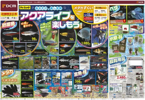 カーマアットホームのカタログ | 排他的な取引と掘り出し物 | 2026-07-17T00:00:00.000Z - 2026-08-03T00:00:00.000Z