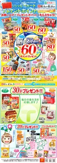 たいらやのカタログ | 魅力的なオファーを発見する | 2026-08-01T00:00:00.000Z - 2026-08-31T00:00:00.000Z