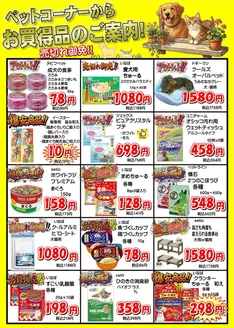アローズのカタログ | 割引とプロモーション | 2026-08-06T00:00:00.000Z - 2026-08-20T00:00:00.000Z