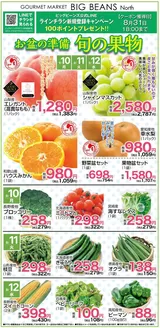 ビッグビーンズのカタログ | ノース店 | 2026-08-09T00:00:00.000Z - 2026-08-31T00:00:00.000Z