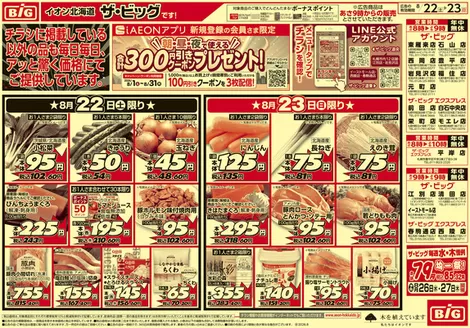 松江市でのザ・ビッグのカタログ | ザ・ビッグ チラシ | 2026-08-21T00:00:00.000Z - 2026-08-25T00:00:00.000Z