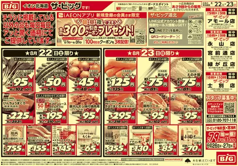 松江市でのザ・ビッグのカタログ | 倹約家のためのトップオファー | 2026-08-21T00:00:00.000Z - 2026-08-25T00:00:00.000Z
