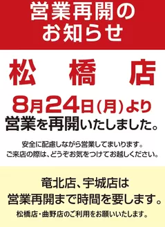 安中市でのコスモスのカタログ | 松橋店 営業再開のご案内 | 2026-08-24T00:00:00.000Z - 2026-08-30T00:00:00.000Z
