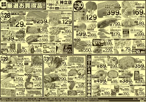 たいらやのカタログ | すべての人のための魅力的な特別オファー | 2026-08-28T00:00:00.000Z - 2026-09-03T00:00:00.000Z