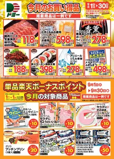 ドミーのカタログ | あなたのための私たちの最高の取引 | 2026-09-01T00:00:00.000Z - 2026-09-30T00:00:00.000Z