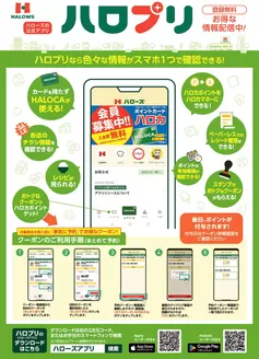ハローズのカタログ | 排他的な掘り出し物 | 2026-08-02T00:00:00.000Z - 2026-12-31T00:00:00.000Z