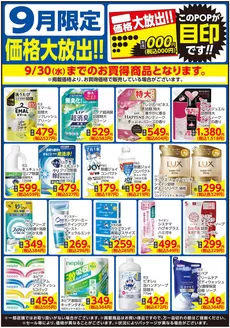 相鉄ローゼンのカタログ | 私たちのお客様のための排他的な取引 | 2026-08-31T00:00:00.000Z - 2026-09-30T00:00:00.000Z