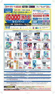岩出市でのオークワのカタログ | 現在の掘り出し物とオファー | 2026-08-31T00:00:00.000Z - 2026-10-31T00:00:00.000Z
