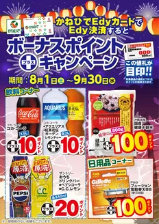 タウンプラザかねひでのカタログ | 豊富なオファーの選択 | 2026-08-01T00:00:00.000Z - 2026-09-30T00:00:00.000Z
