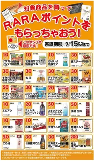 ビッグハウスのカタログ | 排他的な取引と掘り出し物 | 2026-08-16T00:00:00.000Z - 2026-09-15T00:00:00.000Z