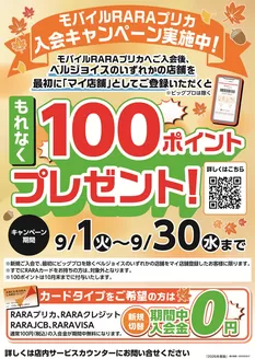 ビッグハウスのカタログ | ビッグハウス チラシ | 2026-09-03T00:00:00.000Z - 2026-09-30T00:00:00.000Z