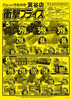 マルハチのカタログ | 衝撃プライス! | 2026-09-04T00:00:00.000Z - 2026-09-30T00:00:00.000Z