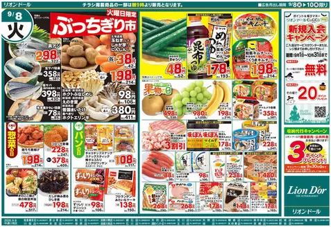 リオンドールのカタログ | 選ばれた製品の素晴らしい割引 | 2026-09-08T00:00:00.000Z - 2026-10-31T00:00:00.000Z
