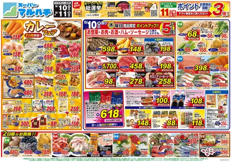 諫早市でのマルハチのカタログ | 2026年9月10日-11日 | 2026-09-09T00:00:00.000Z - 2026-09-11T00:00:00.000Z