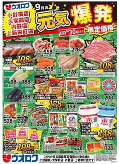 ウオロクのカタログ | 魅力的なオファーを発見する | 2026-09-12T00:00:00.000Z - 2026-09-30T00:00:00.000Z