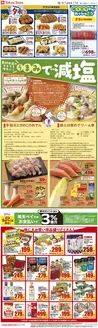 杉戸町でのフレルさぎ沼のカタログ | 2026/09/14WEBチラシ | 2026-09-13T00:00:00.000Z - 2026-09-17T00:00:00.000Z