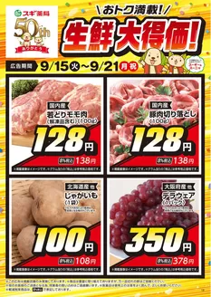 亀岡市でのスギ薬局のカタログ | 排他的な掘り出し物 | 2026-09-15T00:00:00.000Z - 2026-09-21T00:00:00.000Z
