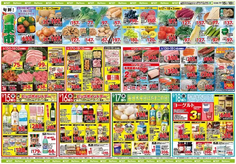 タイヨーのカタログ | 排他的な掘り出し物 | 2026-09-15T00:00:00.000Z - 2026-09-18T00:00:00.000Z