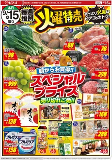 ピアゴのカタログ | 倹約家のためのトップオファー | 2026-09-14T00:00:00.000Z - 2026-09-15T00:00:00.000Z