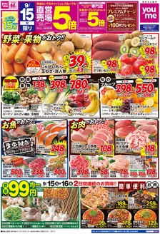 ゆめタウンのカタログ | 掘り出し物ハンターのためのオファー | 2026-09-14T00:00:00.000Z - 2026-09-16T00:00:00.000Z