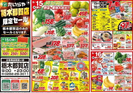 たいらやのカタログ | 私たちのお客様のための排他的な取引 | 2026-09-15T00:00:00.000Z - 2026-09-16T00:00:00.000Z