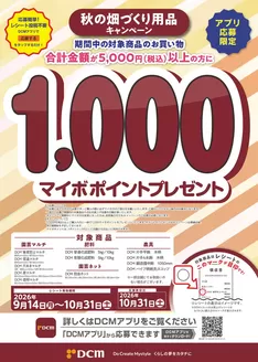 綾歌郡でのDCMのカタログ | 現在の掘り出し物とオファー | 2026-09-14T00:00:00.000Z - 2026-10-31T00:00:00.000Z