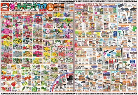 ハンズマンのカタログ | 掘り出し物ハンターのための素晴らしいオファー | 2026-09-16T00:00:00.000Z - 2026-09-30T00:00:00.000Z