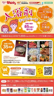 ウェルネスのカタログ | 916228 ウェルネス 入浴剤CP企画 | 2026-09-15T00:00:00.000Z - 2027-02-28T00:00:00.000Z