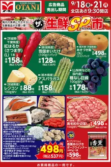 オータニのカタログ | ザ生鮮SP市 | 2026-09-17T00:00:00.000Z - 2026-09-21T00:00:00.000Z