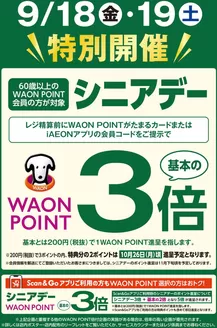 カスミのカタログ | 現在の掘り出し物とオファー | 2026-09-18T00:00:00.000Z - 2026-09-19T00:00:00.000Z