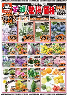 ハンズマンのカタログ | 豊富なオファーの選択 | 2026-09-18T00:00:00.000Z - 2026-09-23T00:00:00.000Z
