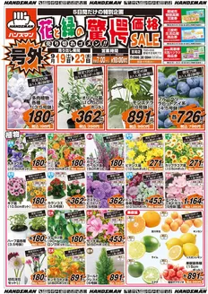 ハンズマンのカタログ | トップディールと割引 | 2026-09-18T00:00:00.000Z - 2026-09-23T00:00:00.000Z