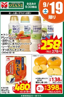 オータニのカタログ | 本日の日替わり商品はこちら | 2026-09-18T00:00:00.000Z - 2026-09-19T00:00:00.000Z