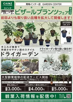 カインズホームのカタログ | ビザールプランツ珍奇植物フェア第2弾 919号 | 2026-09-18T00:00:00.000Z - 2026-10-02T00:00:00.000Z